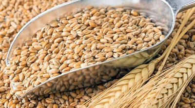 Большой Камень Приморский Край Магазины Большой Камень Приморский Край Магазины