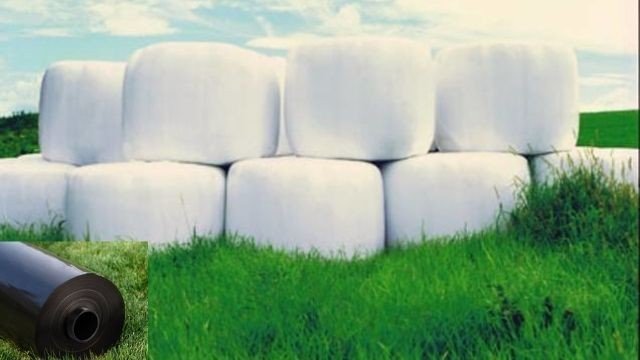 Купить Агрострейч Пленку В Магазинах Спб Купить Агрострейч Пленку В Магазинах Спб