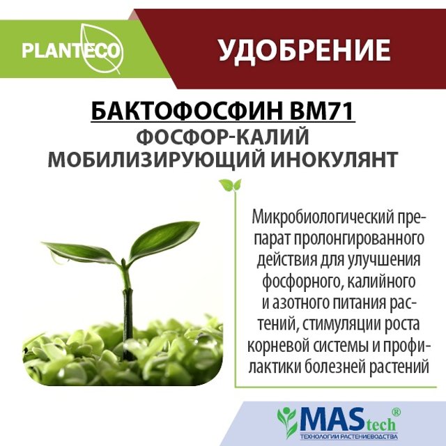 Питание растений фосфор. Микробные препараты для растений. Бактофосфин. Микробиологические и бактериальные удобрения. Биопрепараты для удобрения сада.